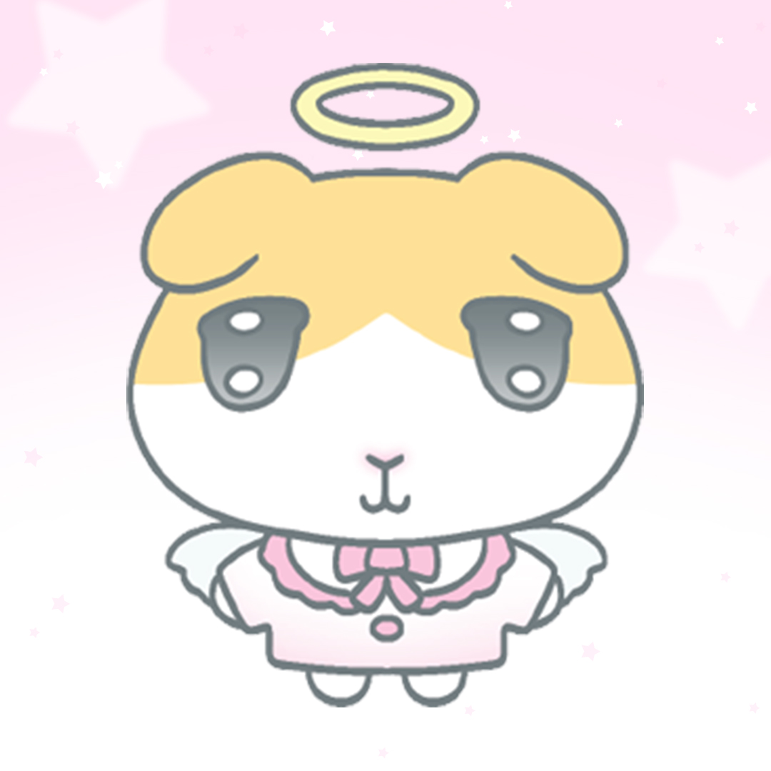 브랜드 메인 이미지